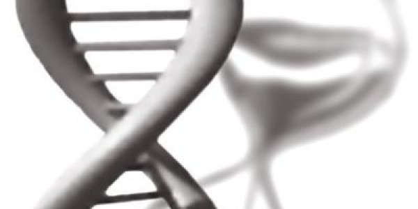 Parasitic DNA Proliferates In Aging Tissues