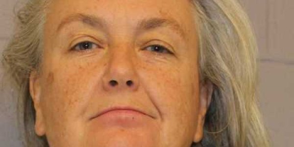 Attack Of The Killer Beekeeper - Anti-Cop Protester Lets Her Horde Loose And Is Happy They're Allergic