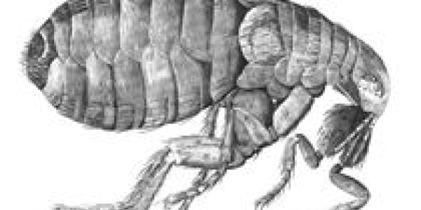 This Day in Science History: November 3rd