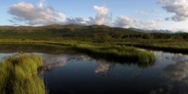 Global Warming May Increase Methane Emissions From Freshwater Ecosystems