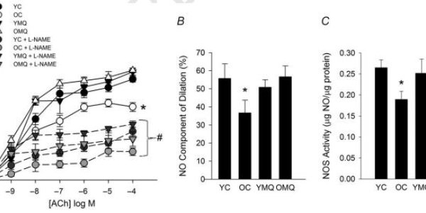 MitoQ Antioxidant Makes Old Arteries Seem Young Again - Study