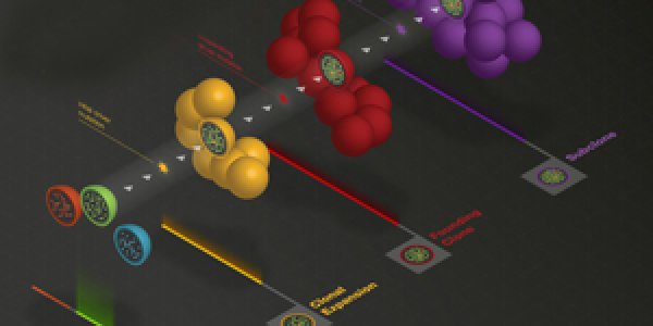 Leukemia Mutations Linked To Aging, Not Cancer