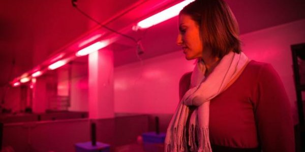 New Test Finds Hidden Toxicity Of Antidepressants Earlier In Development