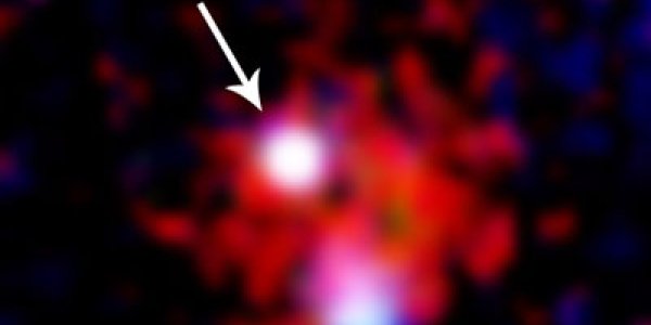 SGR 1627-41:  A Stellar Zombie Comes Back To Life