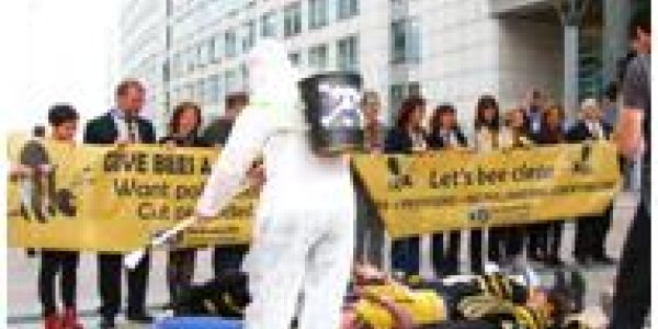 Bees: Activists Remain Silent While This Pollinator Killer Decimates Millions