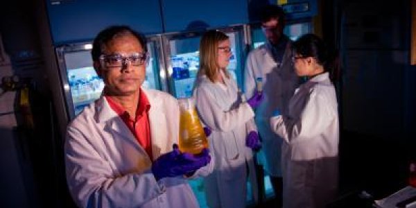 Glycocongugates Are More Than The Sum Of Their Sugars