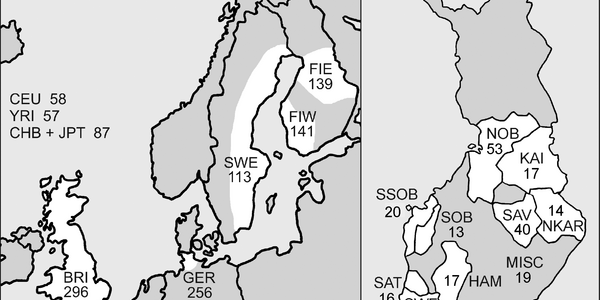 Why 'Genetic Differences' In Northern Europe Are Greater Than Other Areas