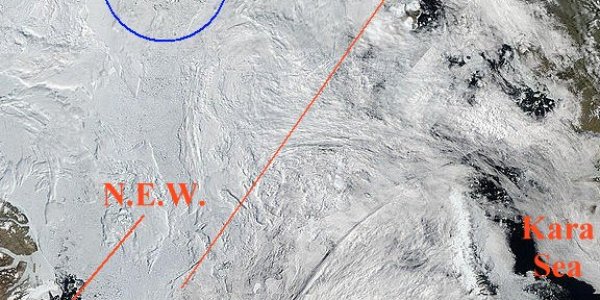 Arctic Ice July 2010 - Update #2