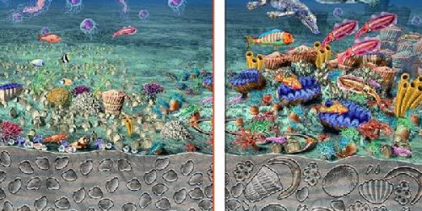 How To See A Mass Extinction Right In Front Of You