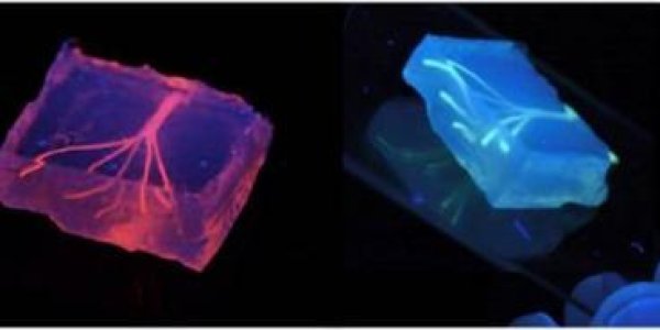 Building A Better Blood Vessel