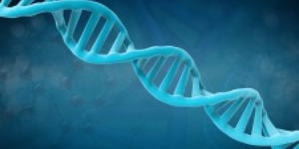 CRISPR-Cas9: When A GMO Is Not A GMO