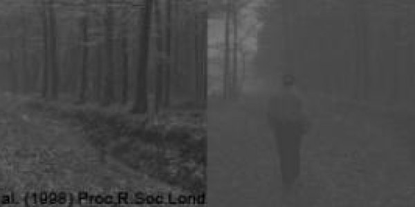 Video Games Improve Some Vision Up To 58 Percent