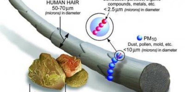 US Clean-air Efforts Stay On Target