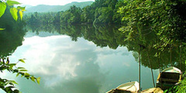 Mystery of Landlocked Sockeye in the Fossil Record