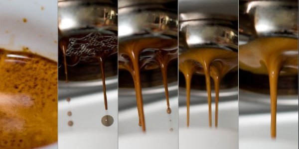 Europe May Need To Ban Potatoes, Bread And Coffee Next