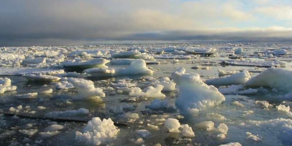 Arctic Pollution - For Your Enjoyment Since 1870