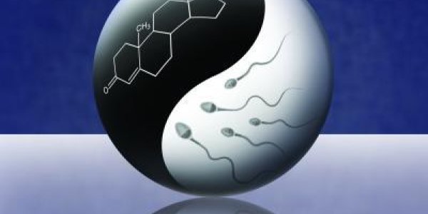 The Secret Of Fertile Sperm