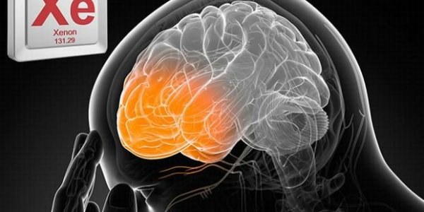 Xenon Gas Reduces Brain Damage After Head Injury