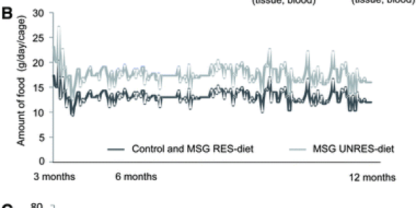 Monosodium Glutamate Precautionary Principle: MSG Is Safe But You Can't Prove It