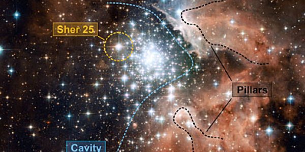 NGC 3603 Shows Its Diversity