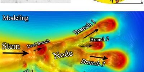 3-D Models Of Electrical Streamers