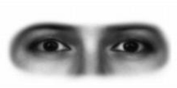 Eyes Are Windows Into The Evolution Of...Facial Expressions?