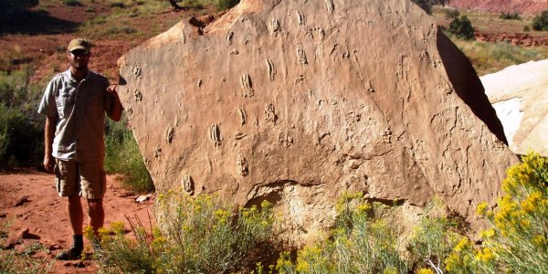 Why Early Triassic Swimming Reptile Fossil Tracks Preserved So Well