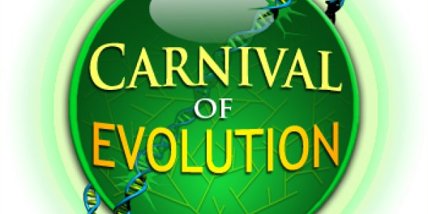 Carnival Of Evolution, 17th Edition