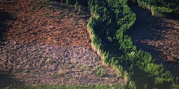 ESA presents the sharpest ever satellite map of Earth