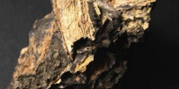 Impact Glass Stores Biodata For Millions Of Years