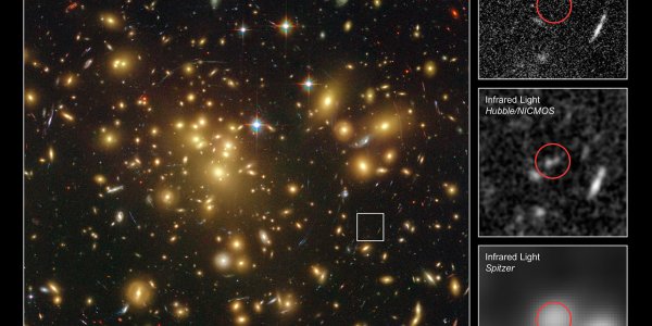 Is A1689-zD1 The Youngest Galaxy Ever?