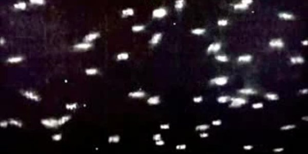 How Females Choose The 'Right' Sperm To Avoid Hybrid Fertilizations