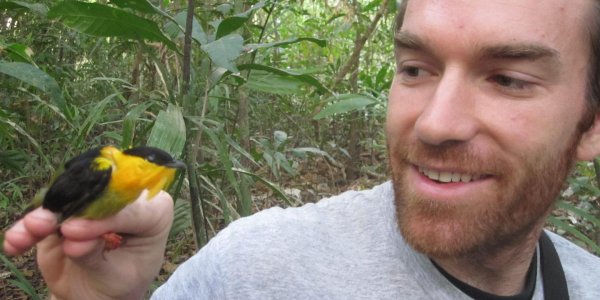 Testosterone And The Bird Bang Theory