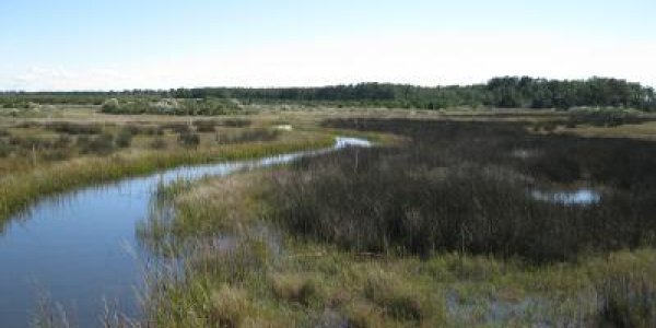 New Technique Allows Frequent Water Quality Monitoring For Suite Of Pollutants