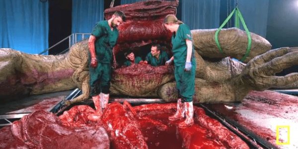 How To Dissect A T. Rex (Bring Chainsaws, Feathers And Latex)