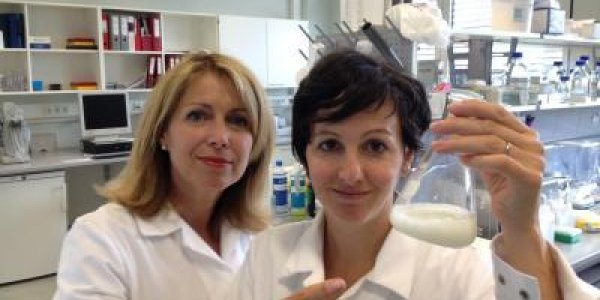 Allergic To Milk Or Lactose Intolerant? Here's Why