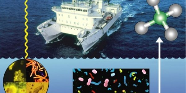 Target: Ocean Methane