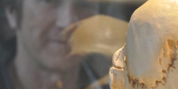 Human Y Chromosome Divergence Placed At Least 300,000 Years Ago