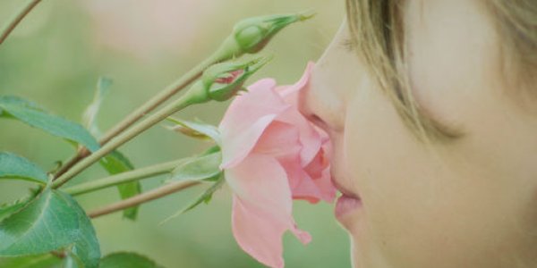 Vibrational Theory Of Olfaction: Controversial Hypothesis Deemed Implausible