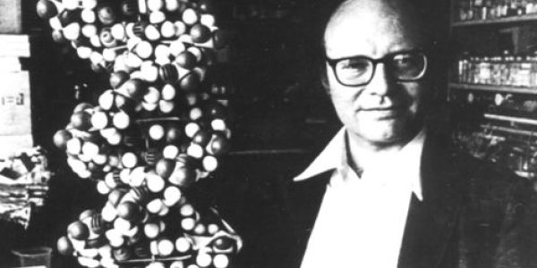 Big Data And Full-Genome Analysis Not All They’re Cracked Up To Be