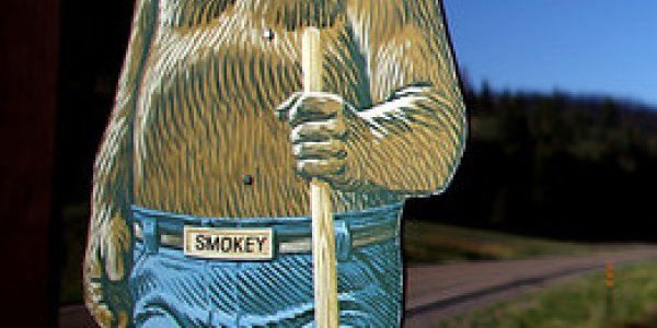 It's Not Smokey Bear's Fault!