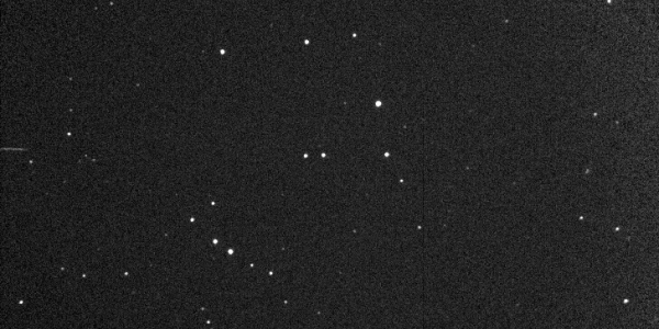 We Survive An Asteroid (Again)