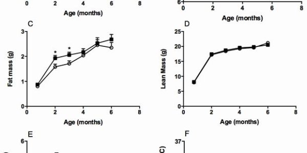 DDT Linked To Obesity In Female Mice Long After Exposure