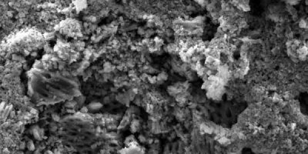 Next Generation Rechargeable Lithium Batteries Coming?