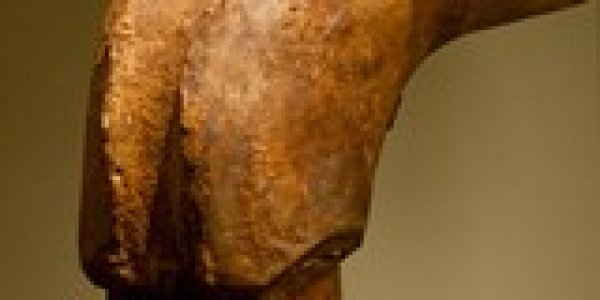 Crete: Island of Fossils & Ancient Myths