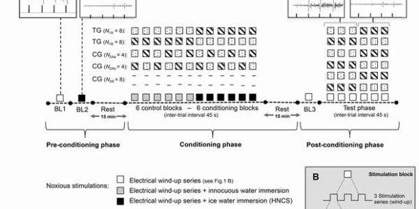 Pavlov Would Be Proud: Teach The Brain To Feel Less Pain