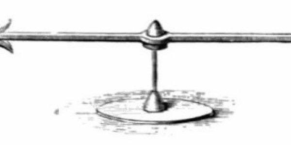 The Whale, The Torpedo And Cruelty To Animals Part 2