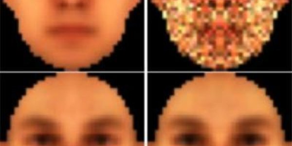 Red Or Green?   The Sex Issue In Skin Color