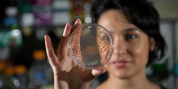 Paleo-Experimental Evolution: Resurrecting A 500-Million-Year-Old Gene