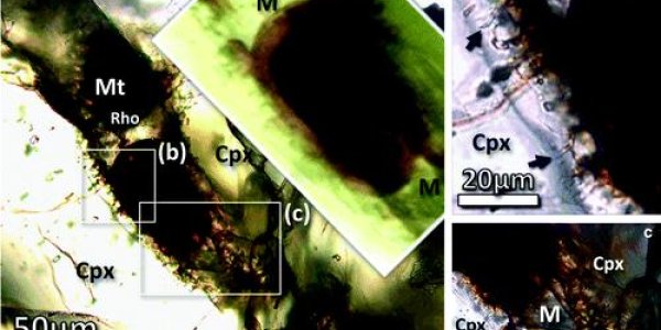 Astrobiology: Conspicuous Clay Ovoid In Nakhla And Implications For Life On Mars